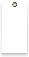 Tags 4 Less 15 Mil Waterproof Plastic Tags, Pack of 100 – 2” x 4” Heavy Duty Plastic Tags for Labeling, Outdoor Tagging, Equipment Labeling, Luggage, Valves & More (White)