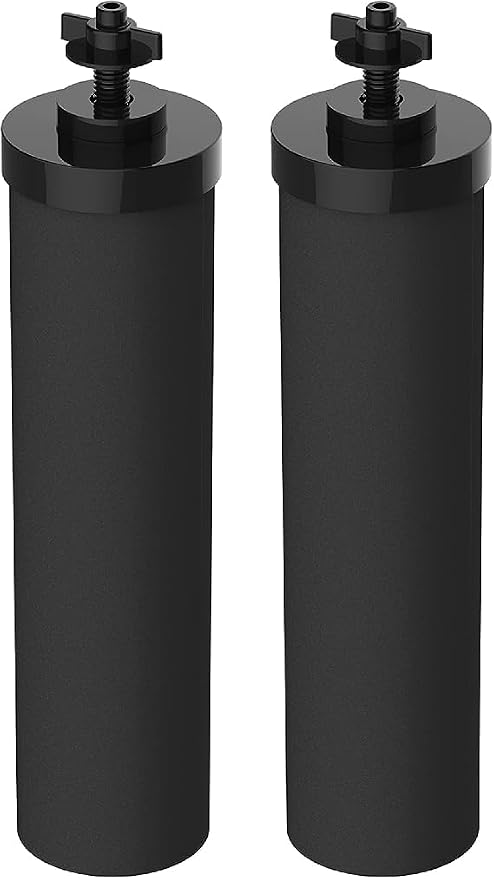 Filterlogic Gravity Water Filter, Replacement for Berkey® BB9-2® Black Carbon Filters, Purewell®, ProOne®, Waterdrop Gravity Filter System, NSF/ANSI 42&372 Certified, 2 Pack