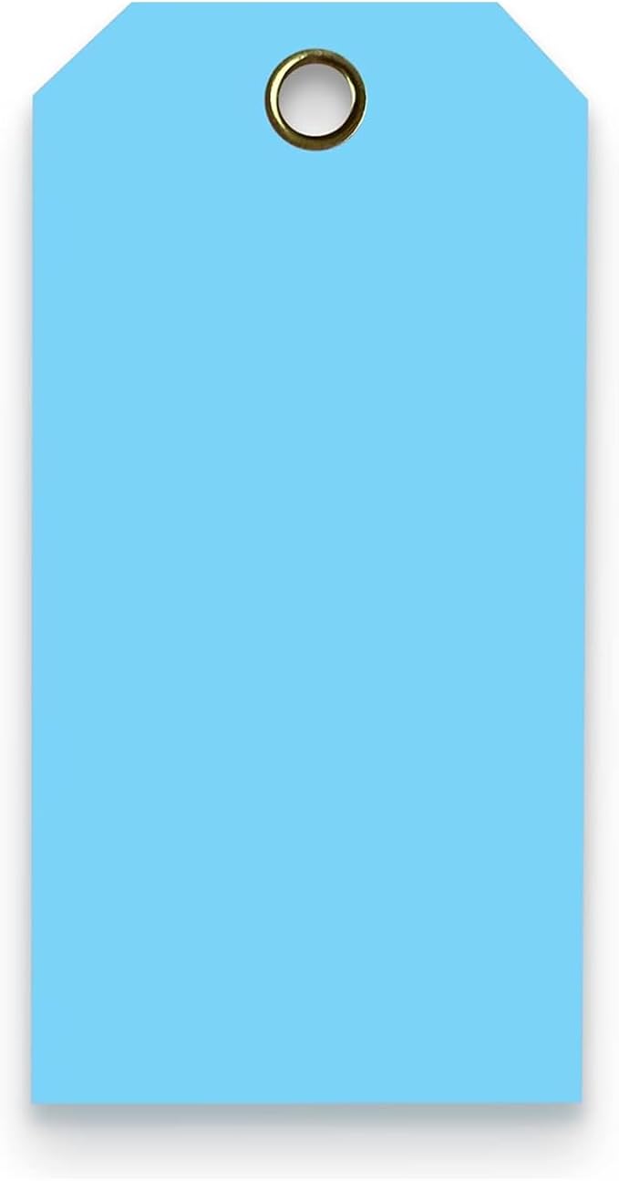 Tags 4 Less 15 Mil Waterproof Plastic Tags, Pack of 100 – 4” x 8” Heavy Duty Plastic Tags for Labeling, Outdoor Tagging, Equipment Labeling, Luggage, Valves & More (Light Blue)