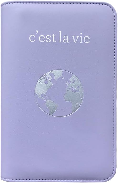 Phone Charging Passport Holder - Travel Wallet with Removable Power Bank holds money, cards, phone, travel docs- RFID Blocking - Compatible with All Phones - Travel Accessories