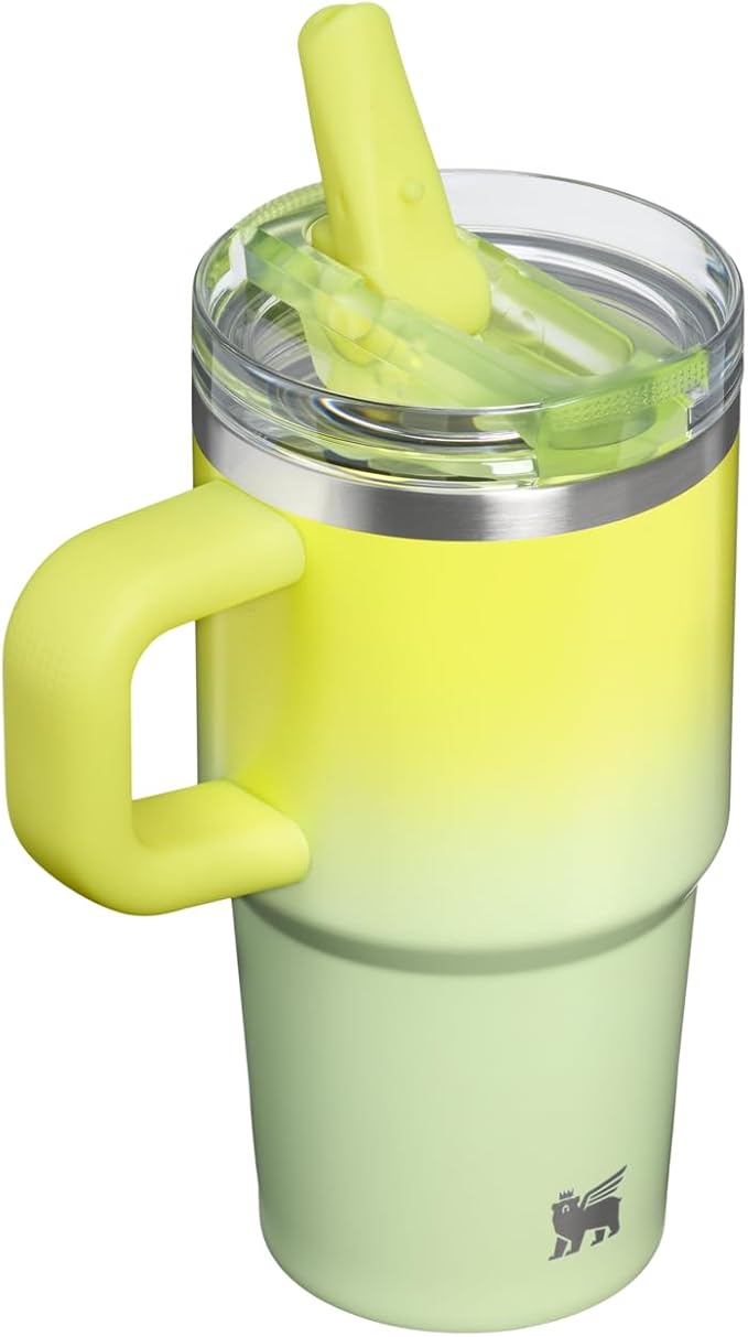 STANLEY Quencher ProTour Flip Straw Tumbler with Leakproof Lid 20 oz | Built-In Straw & Handle | Cupholder Compatible for Travel | Insulated Stainless Steel Cup | BPA-Free | Atomic Gradient