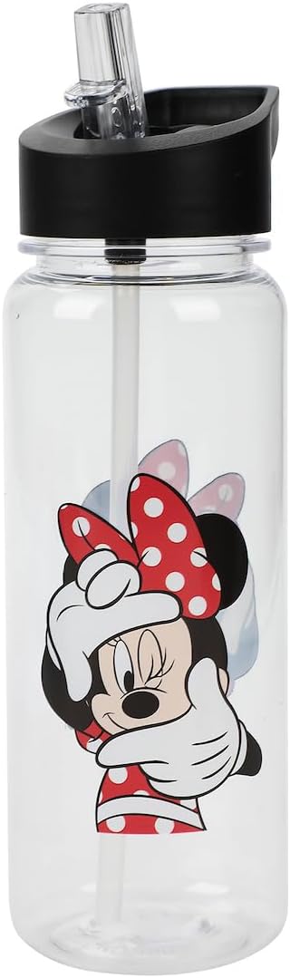 Disney Minnie Mouse 5-Piece Backpack & Lunchbox Set With Water Bottle