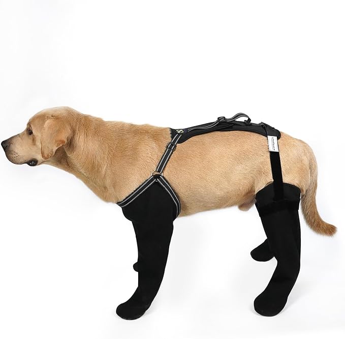 COODEO Dog Socks to Prevent Licking Paws, Waterproof Boots for All Four Legs with Non-Slip Soles, Protective Paw Covers for Wounds, Licking Prevention Shoes for Dogs (Black, 2XL)