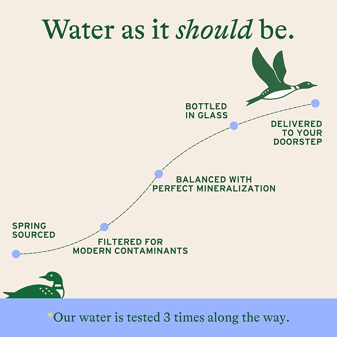 Loonen Spring Sourced Sparkling Water, Glass Bottled High Carbonation, Minerals, Magnesium, Potassium, Calcium, Sodium, PFAS Free, Plastic Free, NSF Certified, American Made, Pack of 6, 750mL