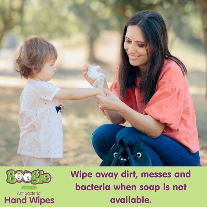Antibacterial Hand Wipes by Boogie, Alcohol Free, Hypoallergenic and Moisturizing Aloe, Hand Wipes for Kids and Adults, 12 Packs of 20 (120 total wipes)