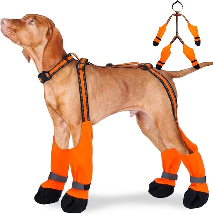 M Orange Stay-On Suspender Dog Boots | Anti-Slip Waterproof | Adjustable Dog Shoes Paw Protector for Medium Dogs Outdoor Walking Hiking