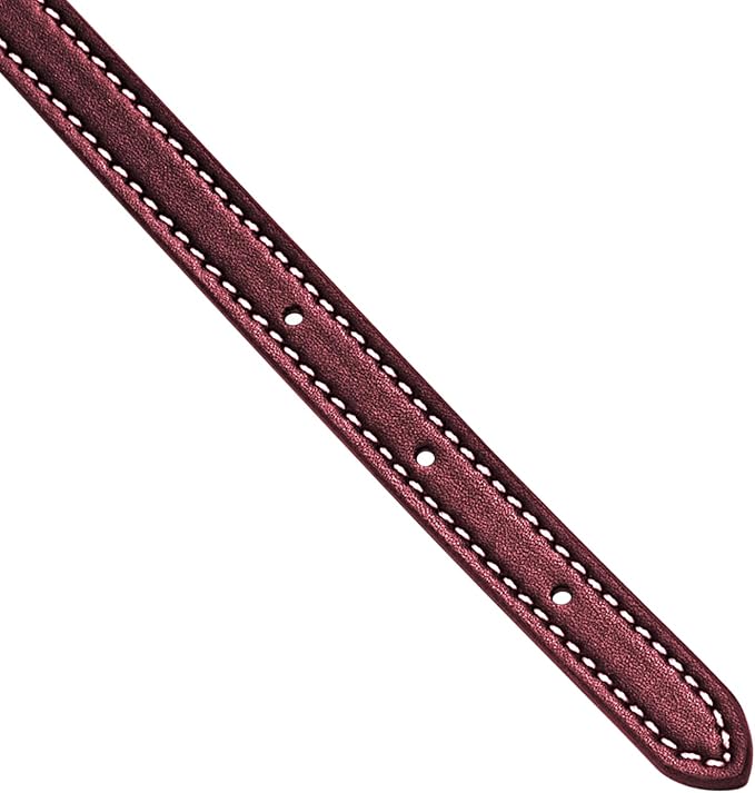 Jiesinlov 2 Pcs Bag Microfiber Leather Strap Replacement Shoulder Straps for Mollie 25 Tote Handbag(Burgundy)