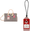 jiesinlov Microfibre Leather Tags for Speedy 25 30 35 Handbag,Luggage or Suitcase Tag (Boarding Pass-Red)