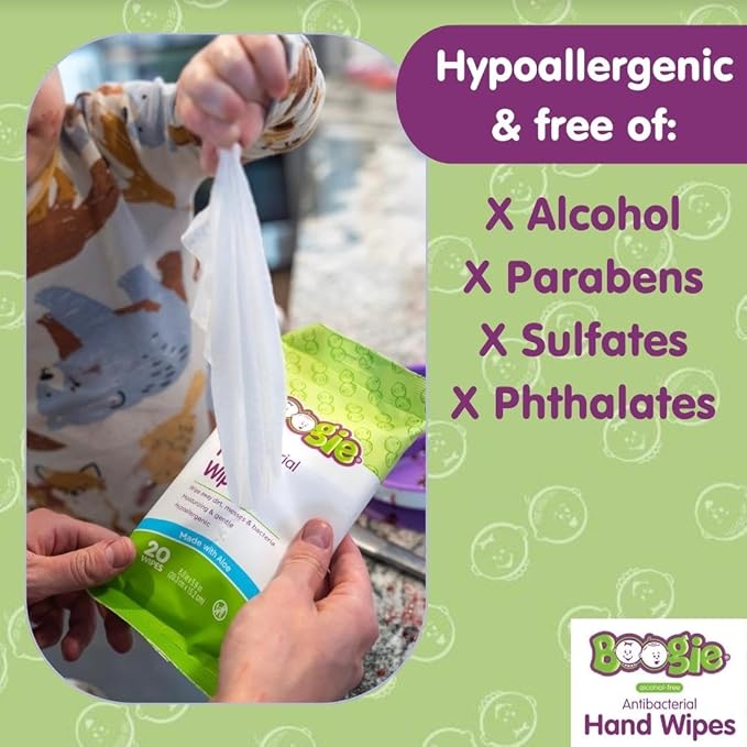 Antibacterial Hand Wipes by Boogie, Alcohol Free, Hypoallergenic and Moisturizing Aloe, Hand Wipes for Kids and Adults, 12 Packs of 20 (120 total wipes)