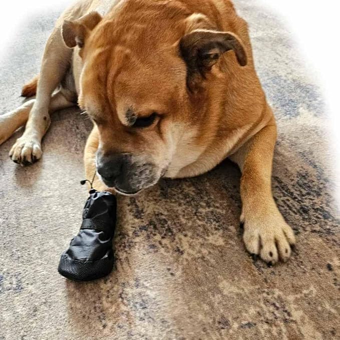 Waterproof Dog Paw Wound Recovery Boot Bandage Cover Protector, M, 1-Pack