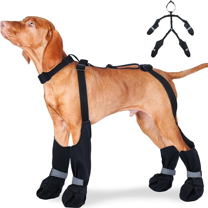 M Black Stay-On Suspender Dog Boots | Anti-Slip Waterproof | Adjustable Dog Shoes Paw Protector for Medium Dogs Outdoor Walking Hiking