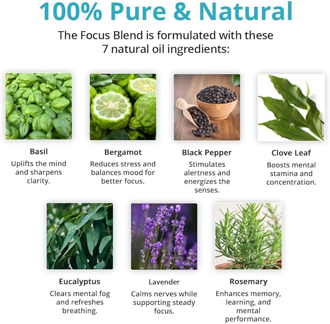 Wild Essentials Focus Essential Oil Bundle–2 Pack Roll-On & Inhaler –Basil, Bergamot, Black Pepper, Clove Leaf, Eucalyptus, Lavender & Rosemary –Natural Aromatherapy for Concentration & Mental Clarity