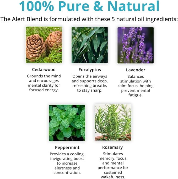 Wild Essentials Alert Essential Oil Blend 2-Pack – Roll-On & Nasal Inhaler with Cedarwood, Eucalyptus, Lavender, Peppermint & Rosemary – Natural Energy, Focus & Mental Clarity Aromatherapy Set