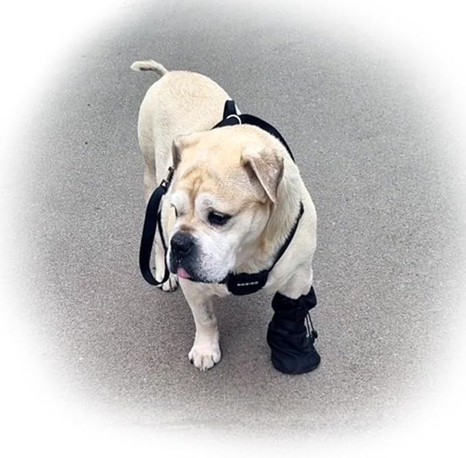 Waterproof Dog Paw Wound Recovery Boot Bandage Cover Protector, L, 1-Pack
