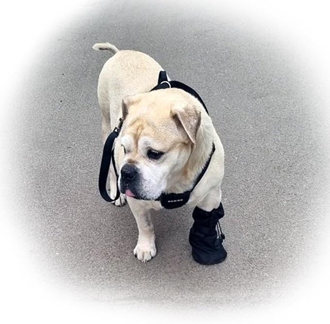 Waterproof Dog Paw Wound Recovery Boot Bandage Cover Protector, M, 1-Pack