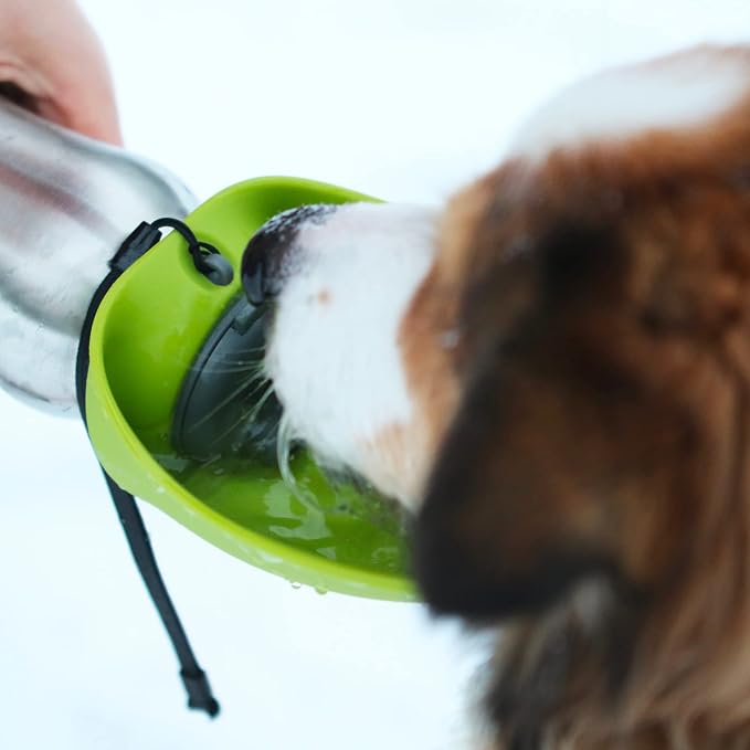 Messy Mutts Stainless Steel Travel Water Bottle with Silicone Flip Up Bowl | Pet Travel Necessity | Camping, Hiking, Walking Accessory | 24 oz / 700mL | Blue