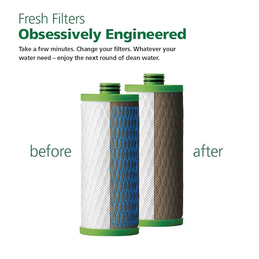 AO Smith Claryum 2-Stage Filter Replacement - NSF Certified - Reduces PFAS, Lead & Chlorine in Drinking Water - Replace Every 6 Months - AO-US-200-R