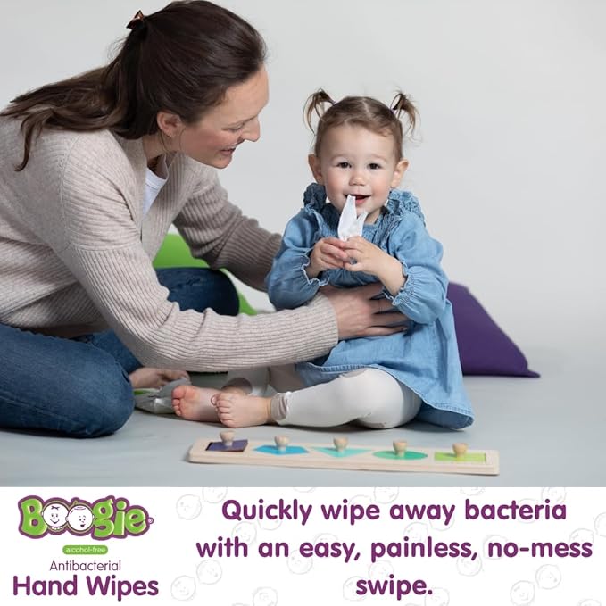 Antibacterial Hand Wipes by Boogie, Alcohol Free, Hypoallergenic and Moisturizing Aloe, Hand Wipes for Kids and Adults, 12 Packs of 20 (120 total wipes)