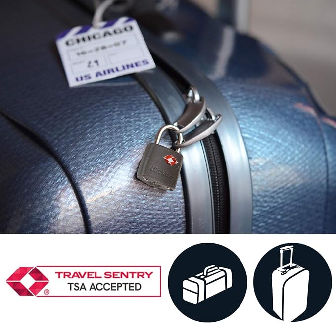 Master Lock 4695EURTAST Pack of 2 TSA Approved Aluminum Luggage Padlock, Random Color, 1.5 x 0.9 x 0.4 inch