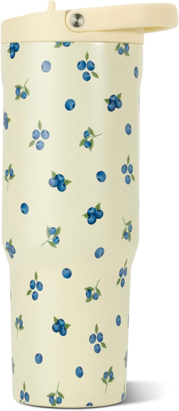 HydroJug Sport 32 oz Insulated Stainless Steel Water Bottle, Freshly Pick'd