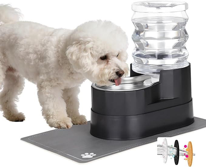 RIZZARI 5L Filtered Pet Water Dispenser with Elevated Design | Elevated Drinking Position,Gravity Water Flow,Odor Reduction Filter,Durable Construction,Stable Base,Ideal for Indoor Spaces