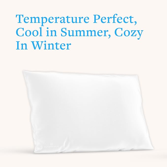 Mulberry Silk Pillowcase for Hair and Skin, 22 Momme 100% Silk Pillowcase Standard Queen Size, Smooth Cooling Pillowcase for Frizz Hair and Sleep Creases