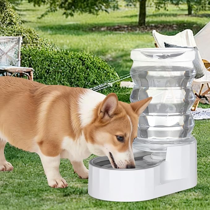 RIZZARI 6.5L Stainless Steel Pet Water Dispenser,Gravity Auto-Refill | Stainless Steel Bowl,Activated Carbon Filter,Ion Exchange Resin,Gravity Auto Refill,Ideal for Cats & Small Dogs