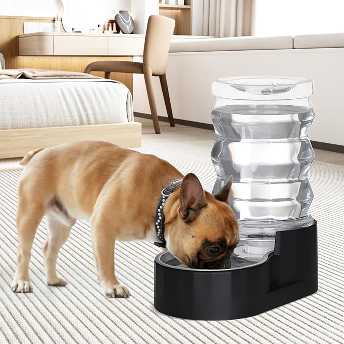 RIZZARI Dog Water Dispenser: 7L Black Stainless Steel Gravity Waterer - Helps Prevent Urinary Stones - Leak-Proof & Stable-Small to Medium Dogs & Cats- Daily Use-Long Hours Away & Home | Built-In Filtration,Clear Water Reservoir,Spill-Resistant Design,...