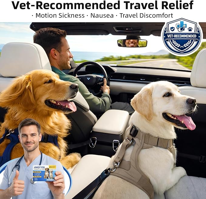 Tablets (Maropitant Citrate) Anti-Motion Sickness and Nausea Relief for Dogs, Relief for Disorientation/Dizziness(10 Tablets, 60.0mg Each)