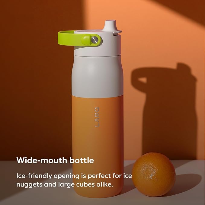 LARQ Swig Top — Insulated Stainless Steel Water Bottle with Straw, Detachable Silicone Handle, Vacuum 24h Cold, BPA-Free Metal Bottle for Gym, Travel, Office — 23 oz, Sorrento Tangerine