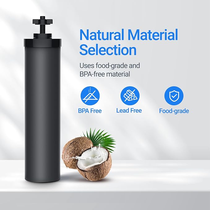 Filterlogic Gravity Water Filter, Replacement for Berkey® BB9-2® Black Carbon Filters, Purewell®, ProOne®, Waterdrop Gravity Filter System, NSF/ANSI 42&372 Certified, 2 Pack