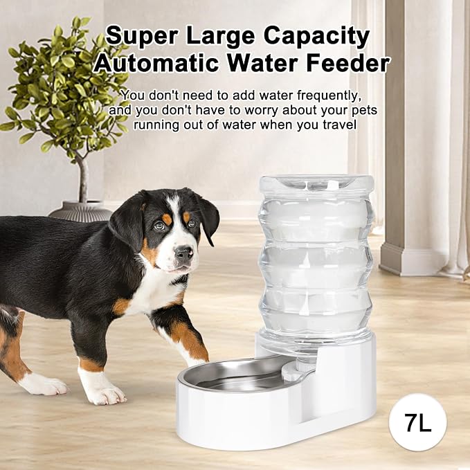 RIZZARI 6.5L Stainless Steel Pet Water Dispenser,Gravity Auto-Refill | Stainless Steel Bowl,Activated Carbon Filter,Ion Exchange Resin,Gravity Auto Refill,Ideal for Cats & Small Dogs