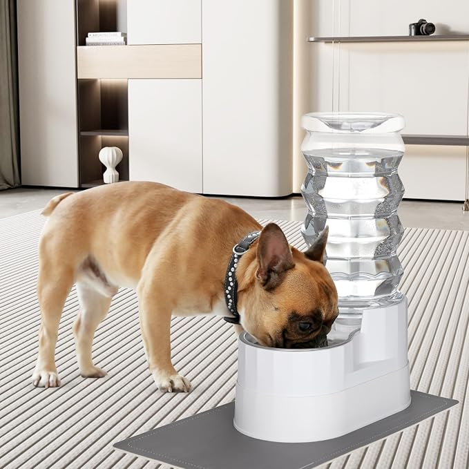 RIZZARI 8L Gravity Pet Water Dispenser with Raised Stand & Filter | Raised Stand Helps Reduce Neck Strain,Home Ready Design,Stainless Steel Bowl,Made for Large Dogs & Multi-Pet Homes