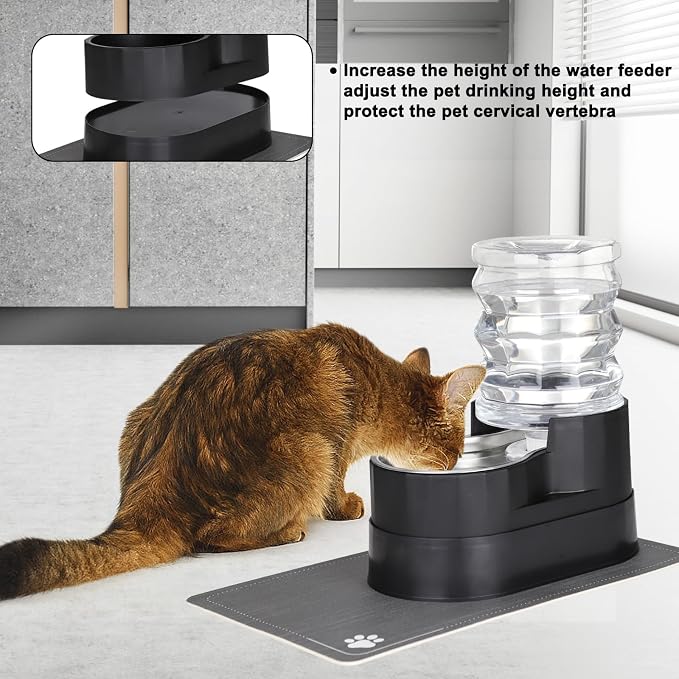 RIZZARI 5L Filtered Pet Water Dispenser with Elevated Design | Elevated Drinking Position,Gravity Water Flow,Odor Reduction Filter,Durable Construction,Stable Base,Ideal for Indoor Spaces
