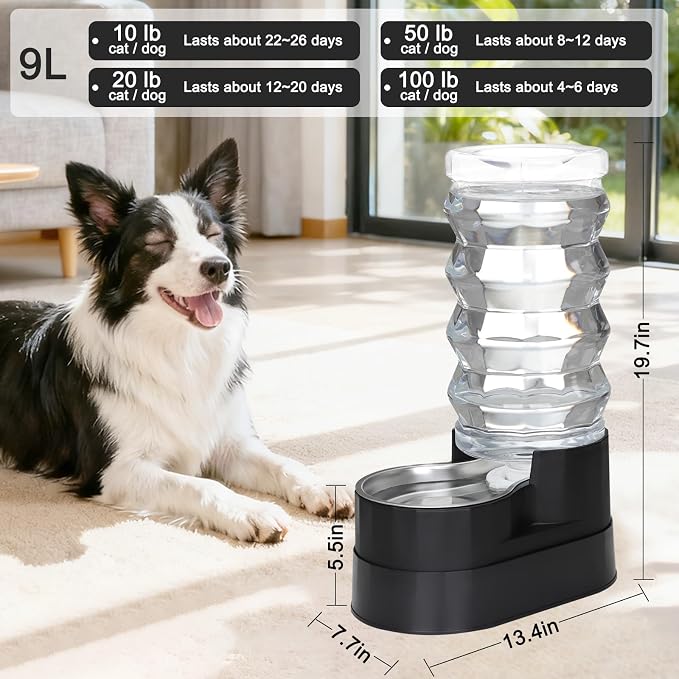 RIZZARI 9L Gravity Pet Water Dispenser with Filter for Large Dogs | Comfortable Elevated Design,Cleaner Drinking Surface,Busy Pet Owner Friendly,Indoor Everyday Use,Easy Daily Maintenance