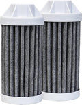 Epic Everywhere Bottle Filter Complete | 75 Gallon Total Filter Life | 3-4 month Supply | Compatible with all Epic Water Bottles | Replaces Everyday and Outdoor (Cartridge Double)