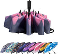 LANBRELLA Compact Reverse Folding Umbrella Auto Windproof Travel Umbrella