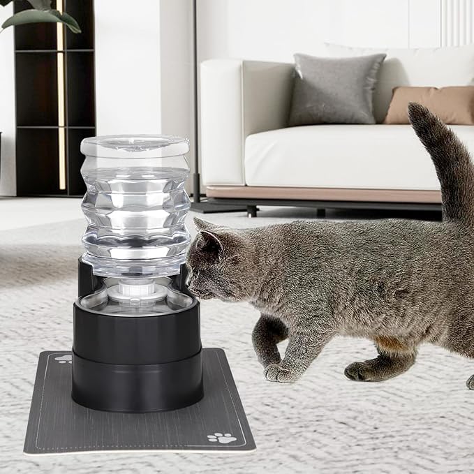 RIZZARI 5L Filtered Pet Water Dispenser with Elevated Design | Elevated Drinking Position,Gravity Water Flow,Odor Reduction Filter,Durable Construction,Stable Base,Ideal for Indoor Spaces
