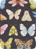 Casely Kindle Case | Midnight Monarch | Jenna Palek x Casely | Compatible with 7” Kindle Colorsoft and 7” Kindle Paperwhite (12th Gen 2024 Models)