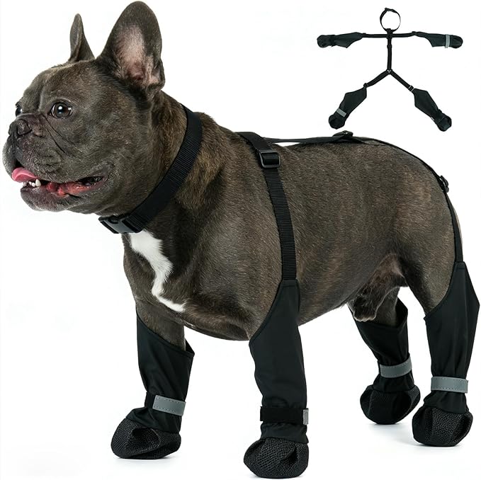 Dog Suspenders Boots, Winter Snow Shoes for Small Dogs, Waterproof Dog Boots for Rain Mud, Anti-Slip Stay-On for Active Dogs, Adjustable Reflective Paw Protector for Walking Hiking, XS Black