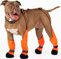 Dog Suspenders Boots, Winter Snow Shoes for Large Dogs, Waterproof Dog Boots for Rain Mud, Anti-Slip Stay-On for Active Dogs, Adjustable Reflective Paw Protector for Walking Hiking, 2XL Orange