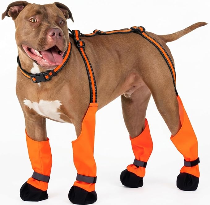 Dog Suspenders Boots, Winter Snow Shoes for Large Dogs, Waterproof Dog Boots for Rain Mud, Anti-Slip Stay-On for Active Dogs, Adjustable Reflective Paw Protector for Walking Hiking, XL Orange