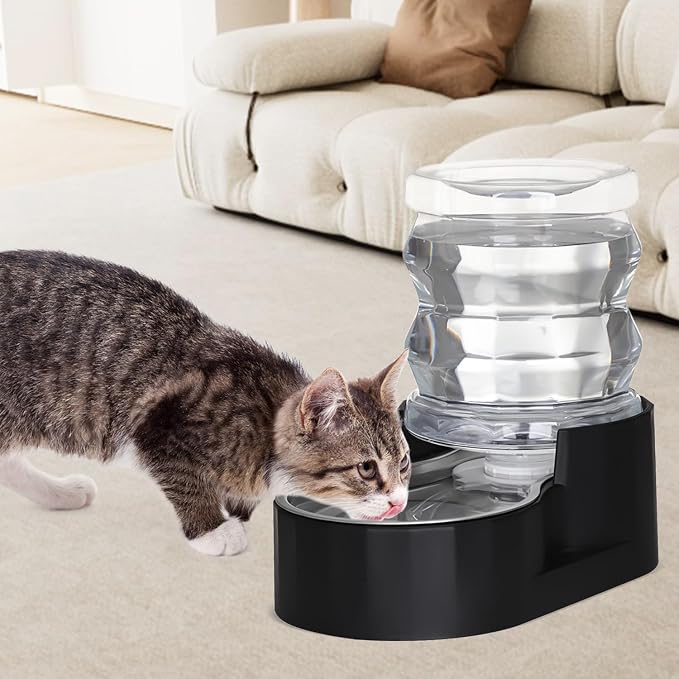 RIZZARI 4L Black Filtered Gravity Pet Water Dispenser | Stainless Steel Bowl,Fresh Water Supply,Helps Reduce Odor,Easy to Clean,Ideal for Small Pets