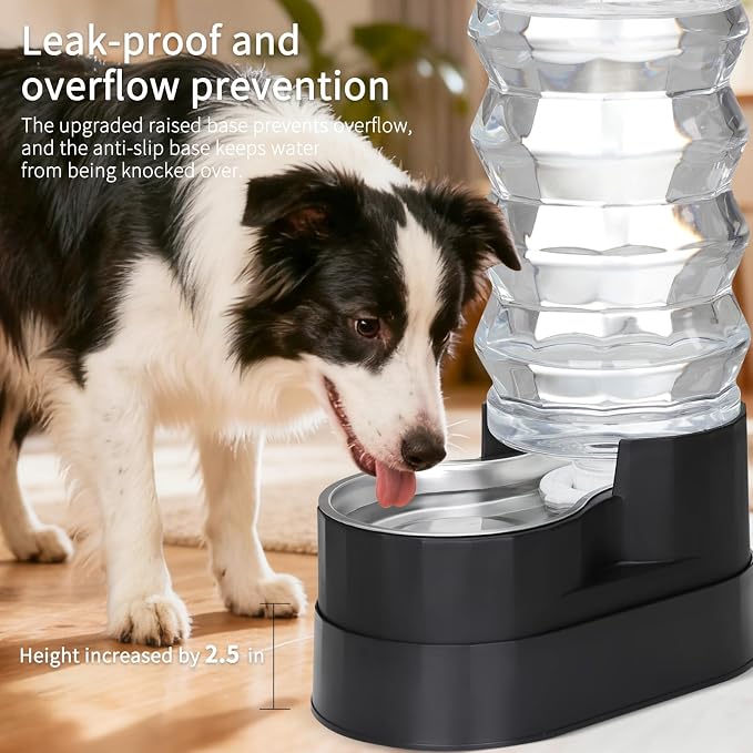 RIZZARI 9L Gravity Pet Water Dispenser with Filter for Large Dogs | Comfortable Elevated Design,Cleaner Drinking Surface,Busy Pet Owner Friendly,Indoor Everyday Use,Easy Daily Maintenance