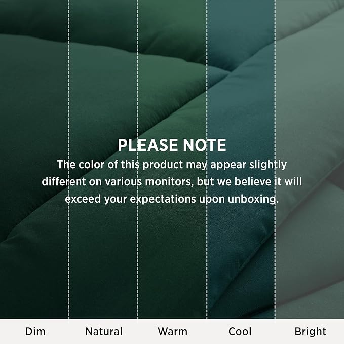Bedsure Comforter Duvet Insert - Quilted Comforters King Size, All Season Duvet, GentleSoft Down Alternative Bedding, with 8 Tabs, Gifts for Women/Men, Green, King 90 x 102 Inches