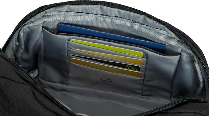 Travelon Anti-Theft Metro Waist Pack