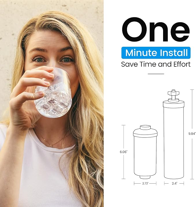 Filterlogic Gravity Water Filter, Replacement for Berkey®, Purewell®, ProOne®, Alexapure®, BB9-2® Black Filter & PF-2® Fluoride Filters, NSF/ANSI 372 Standard, Combo Pack