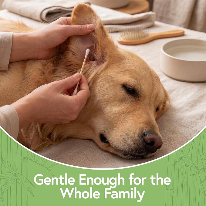 100% Bamboo Cotton Swabs for Ears (5000-Pack) - Perfect for Baby & Personal Care | Double-Tipped Ear Swab Cotton for Makeup & Cleaning | FSC Certified & Hypoallergenic, Made for All Ages & Pet