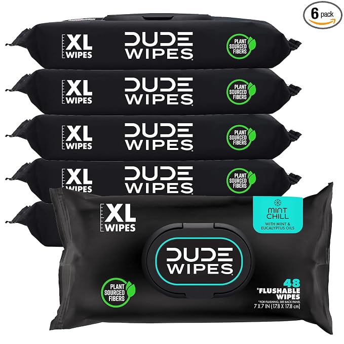 DUDE Wipes Mint Chill Flushable Wipes - Extra-Large Adult Wet Wipes - 6 Pack (288 Count) - Infused with Tea Tree Oil, Vitamin E, and Aloe - Septic and Sewer Safe