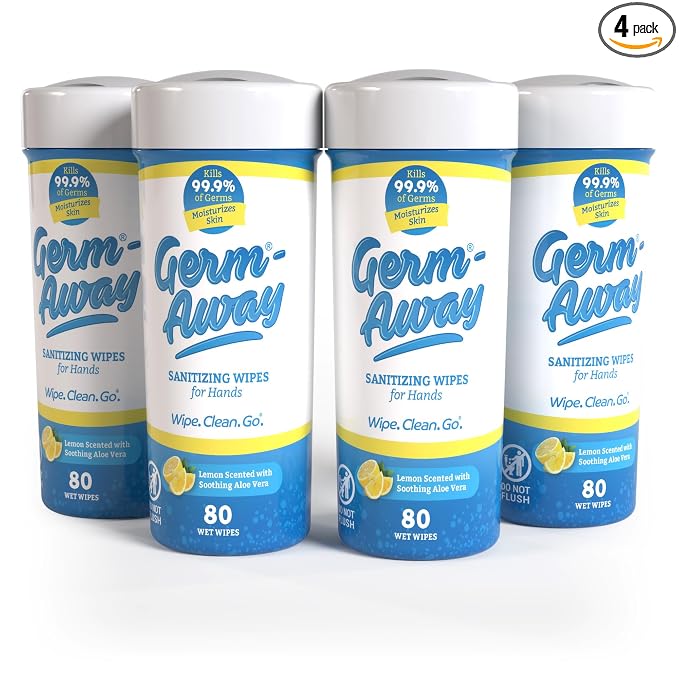 Antibacterial Wipes for Hands and Face - Hand Sanitizer Wipes for Kids & Adults, Kills 99.9% Germs on Skin, 80 Count (Pack of 4)